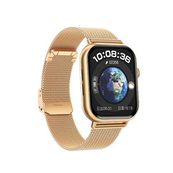 Global B2B Smartwatch Deep Customization