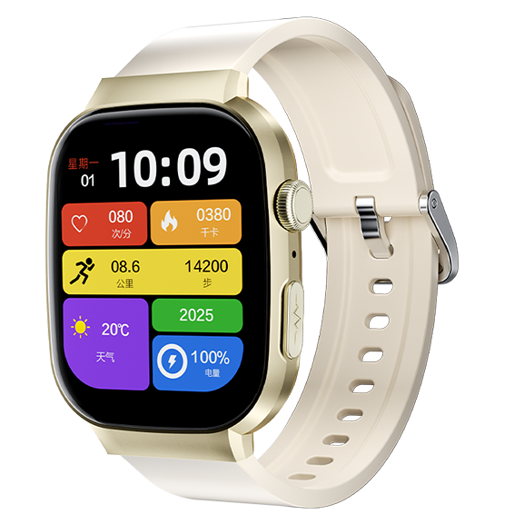 4G Medical-Grade Health Monitoring Smartwatch