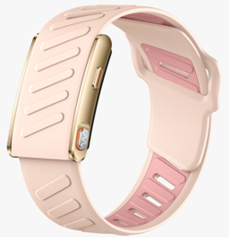 Screenless ECG Smart Band